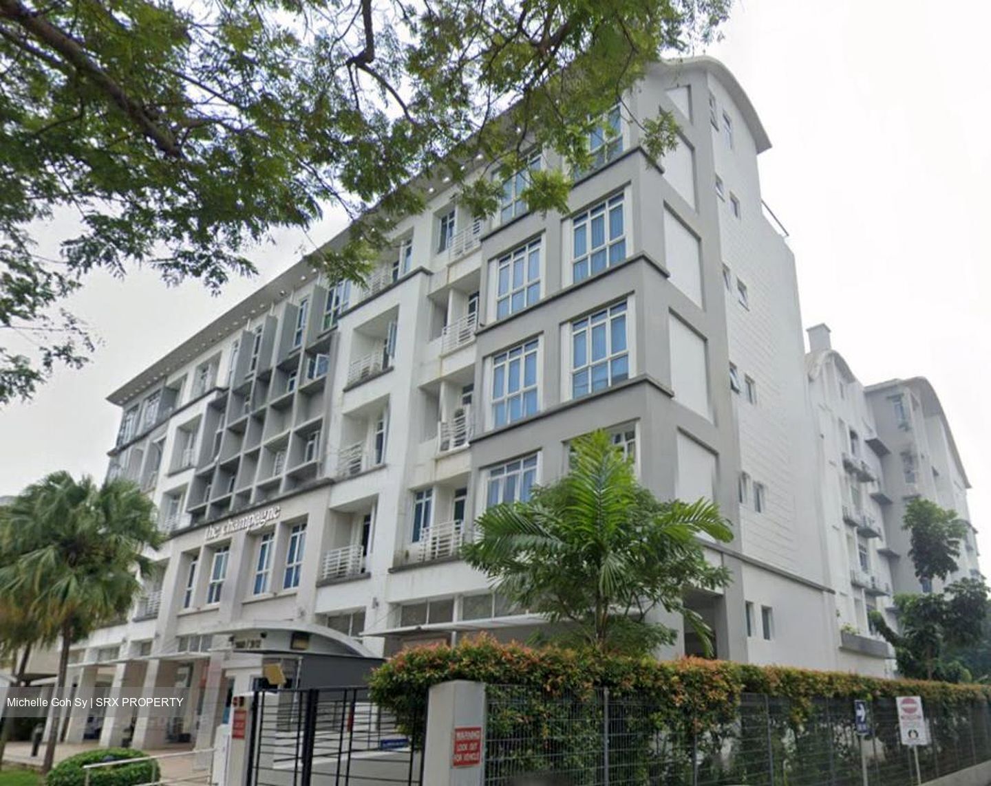 The Champagne (D14), Apartment #508222871